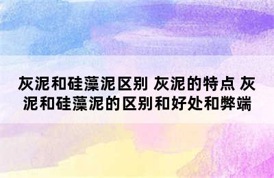 灰泥和硅藻泥区别 灰泥的特点 灰泥和硅藻泥的区别和好处和弊端